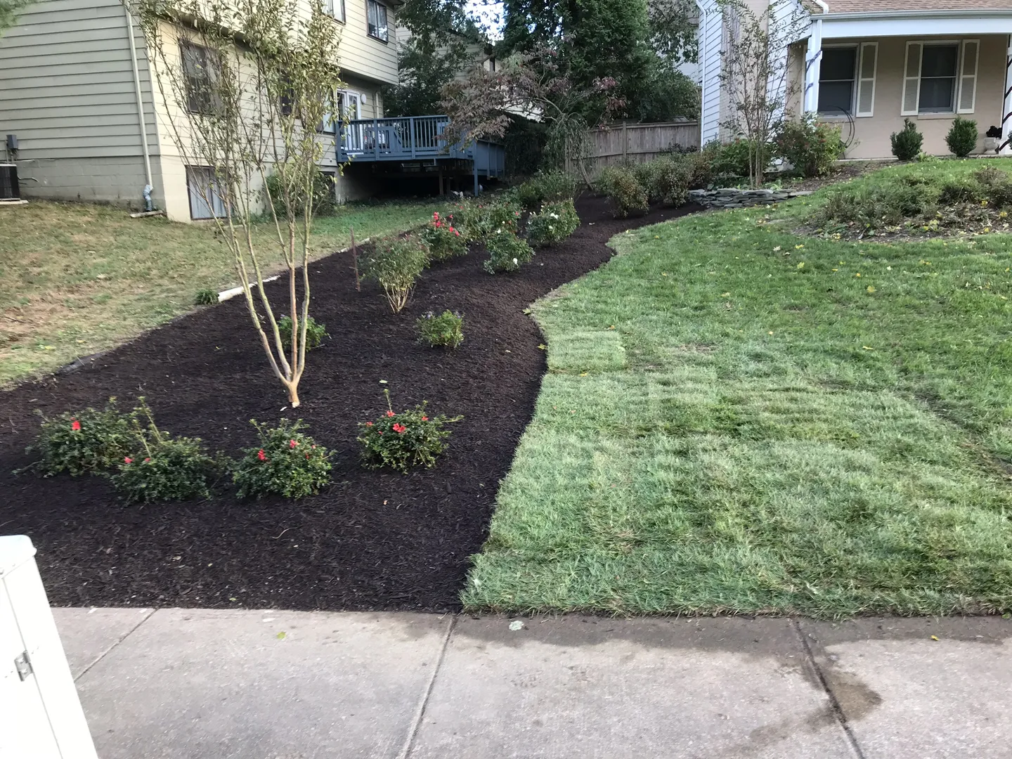 Arlington Mulching After Picture