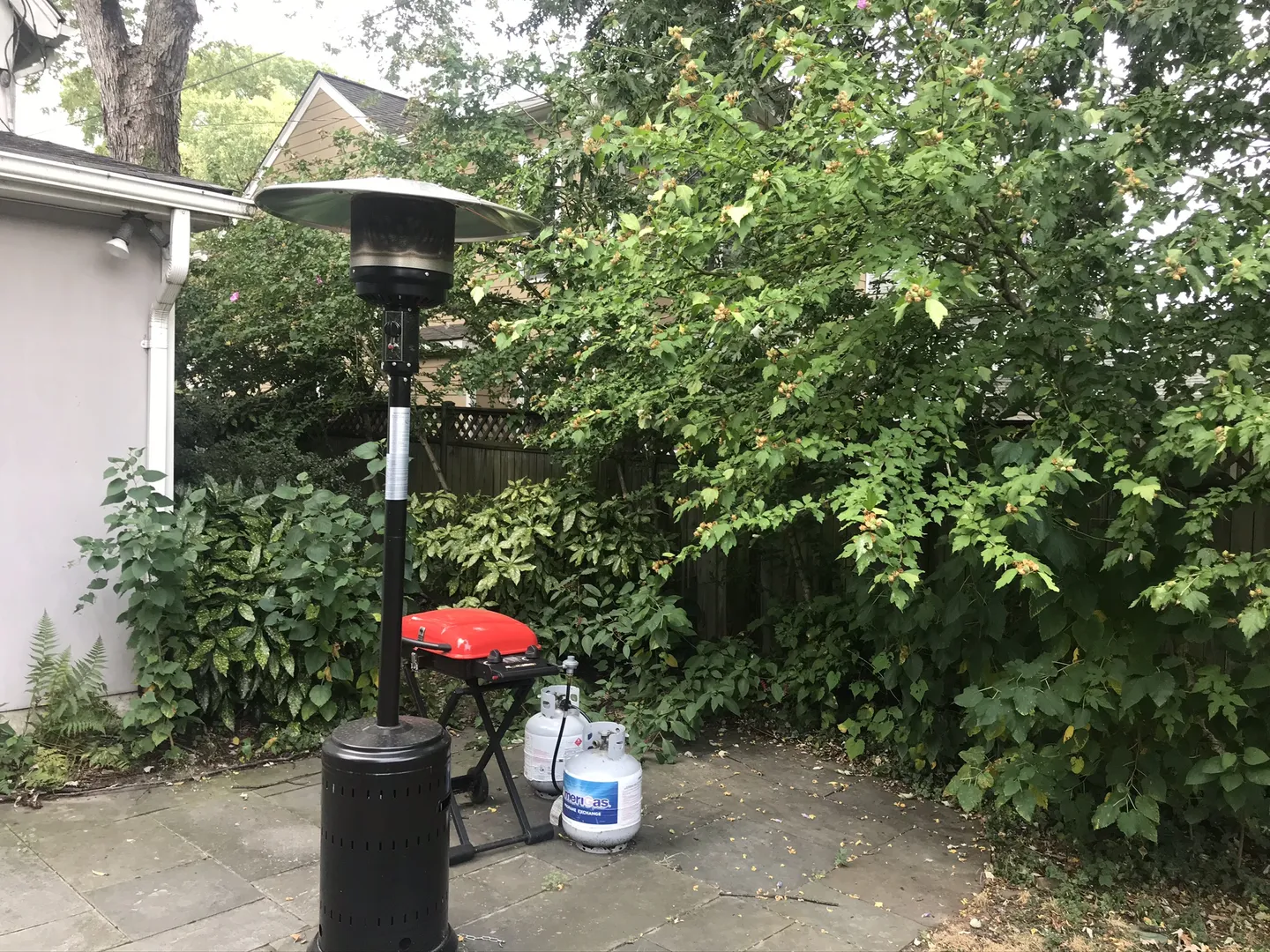 Pruning In Arlington Before Picture