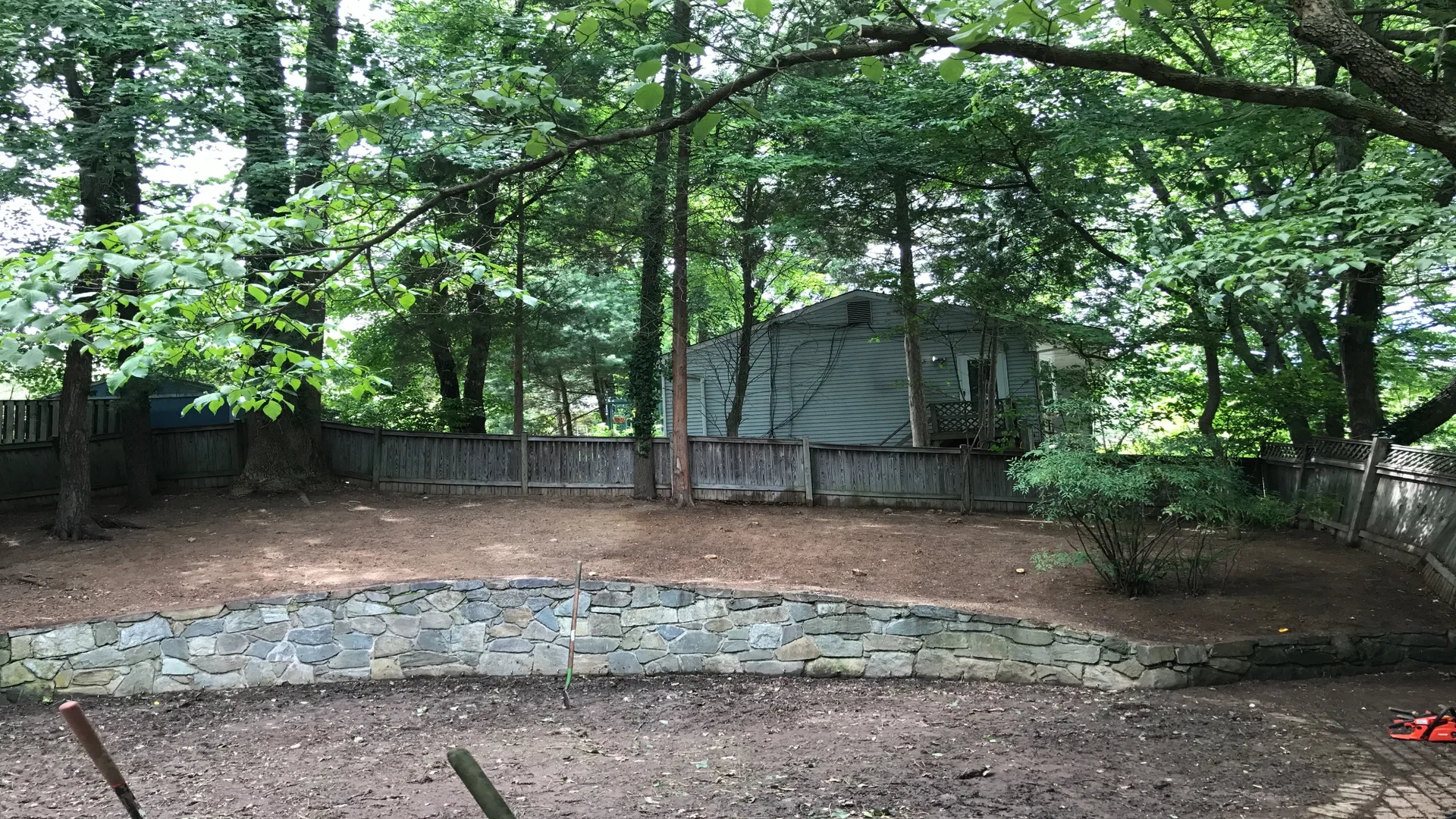 English Ivy Removed