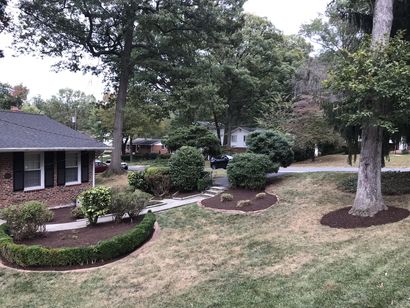 Hedge Trimming In Arlington