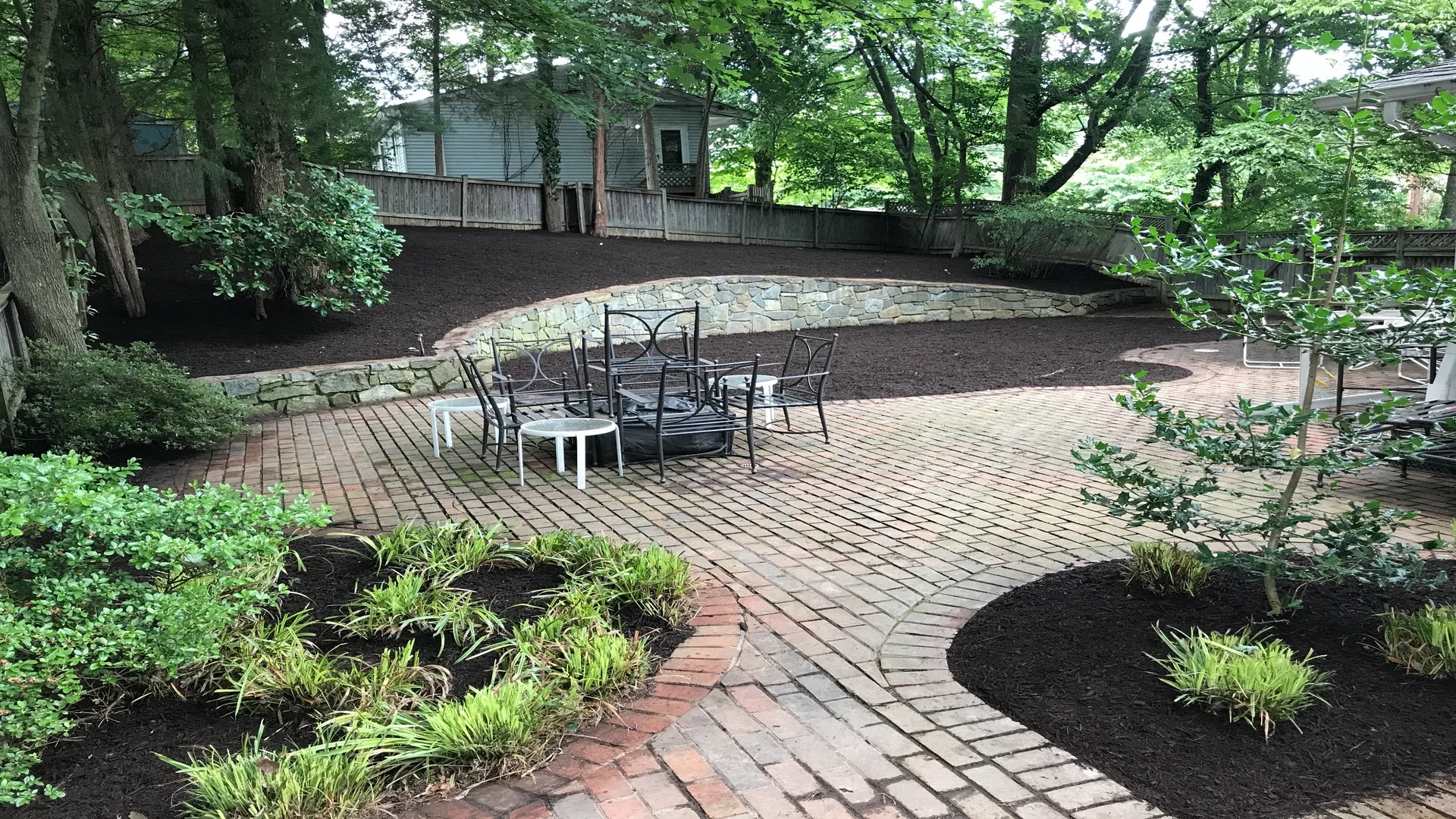Ivy Removal Completed In Arlington