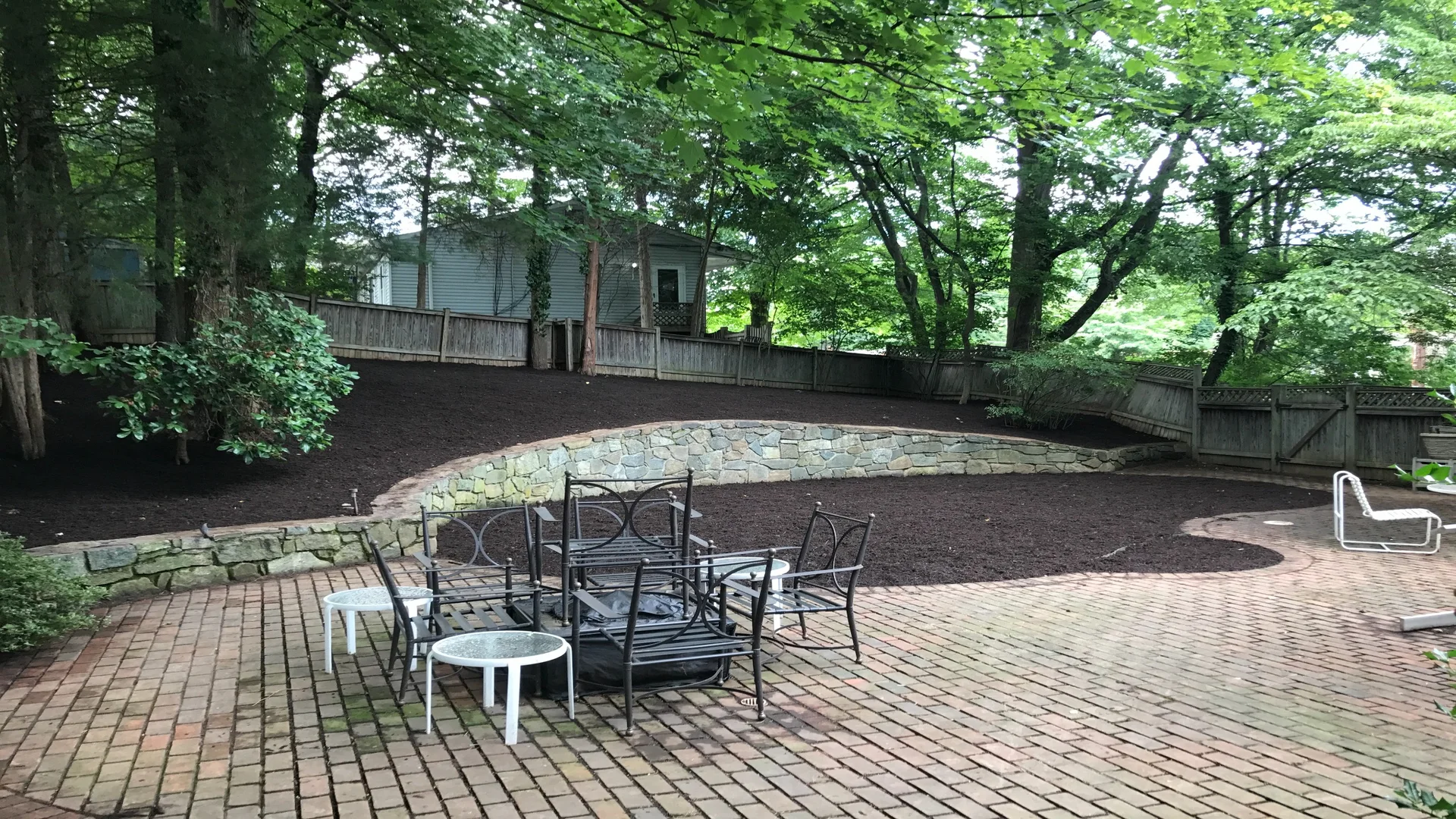 Ivy Removal In Arlington Finished