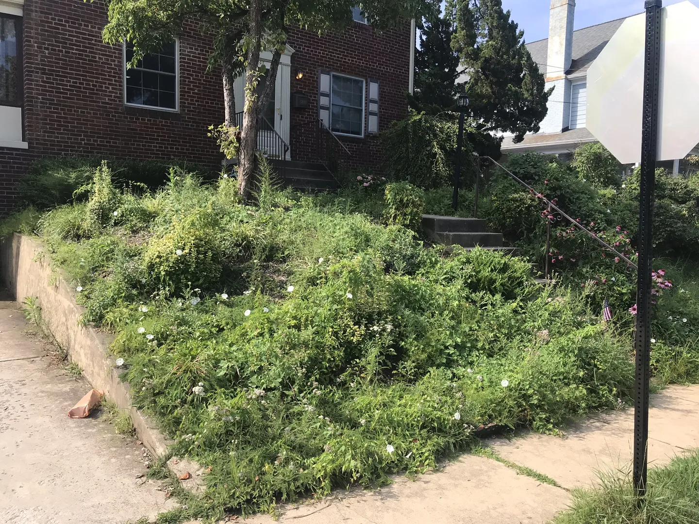Professional Mulching In Arlington Before Picture