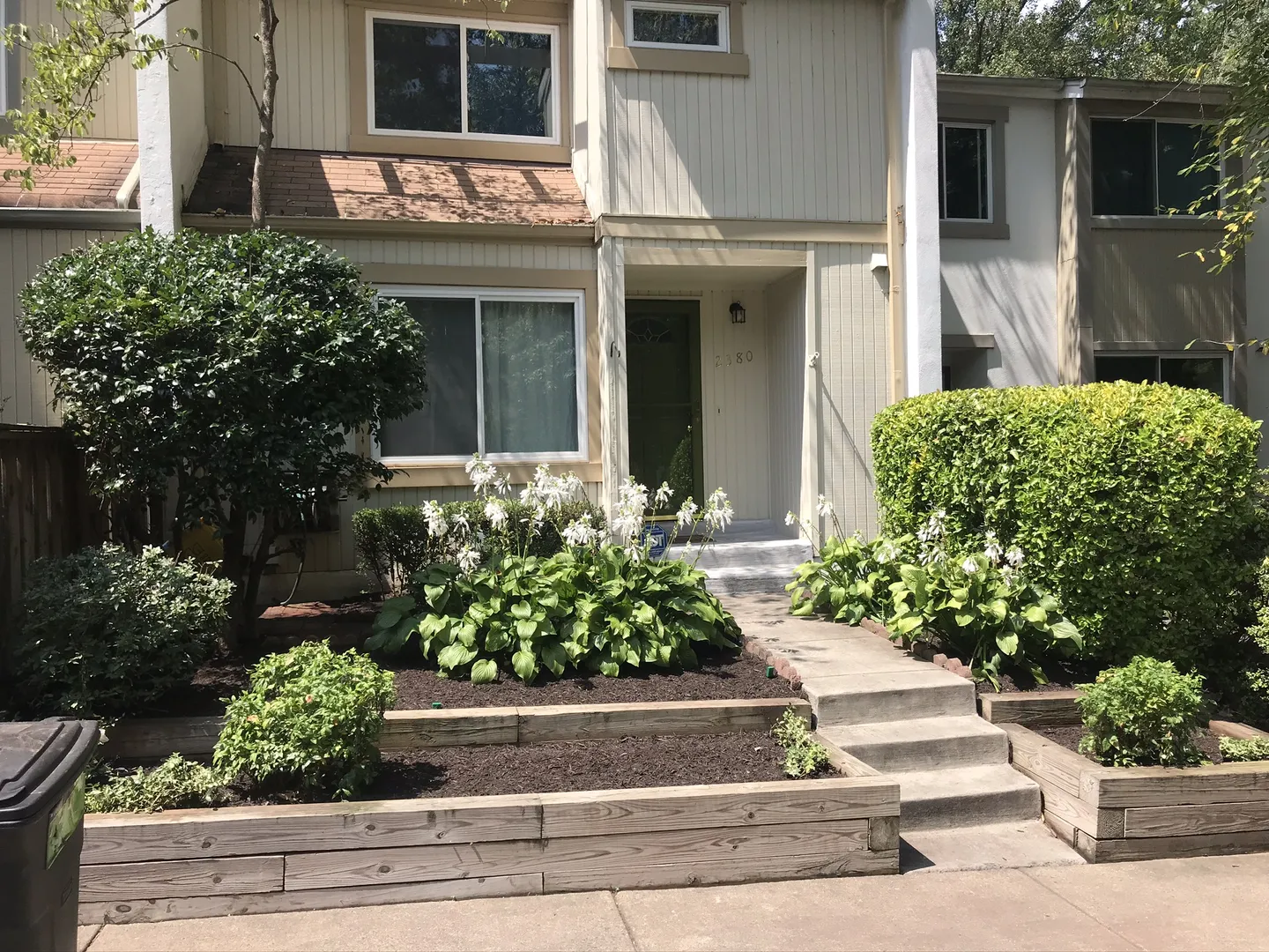 Pruning A Townhouse In Arlington Before Picture